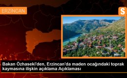 Özhaseki: Tehlike oluşturacak zehirli atığa rastlanmadı