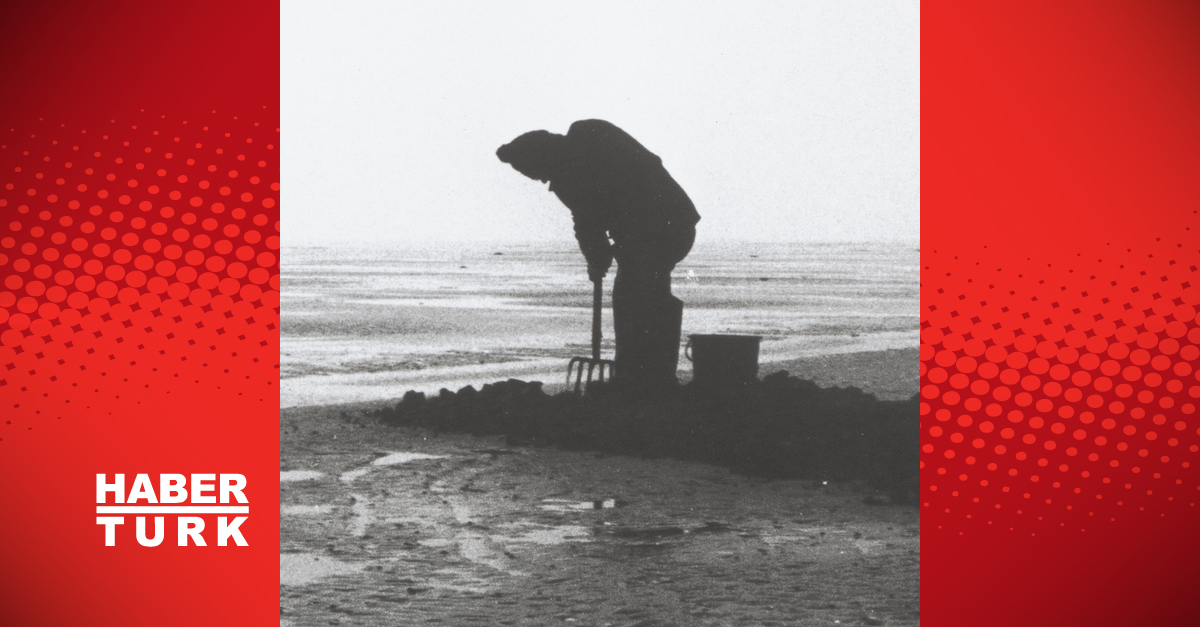 ‘Cinema Ecologica’ film seçkisi Akbank Sanat’ta